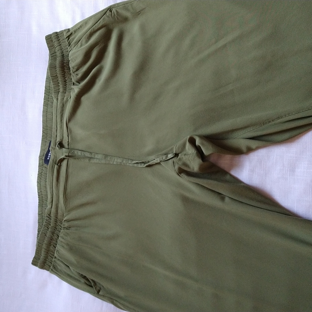 Torrid Taper Green Stretch Challis Pants high rise Tie Front Pants size 3 / 3X - Picture 6 of 15